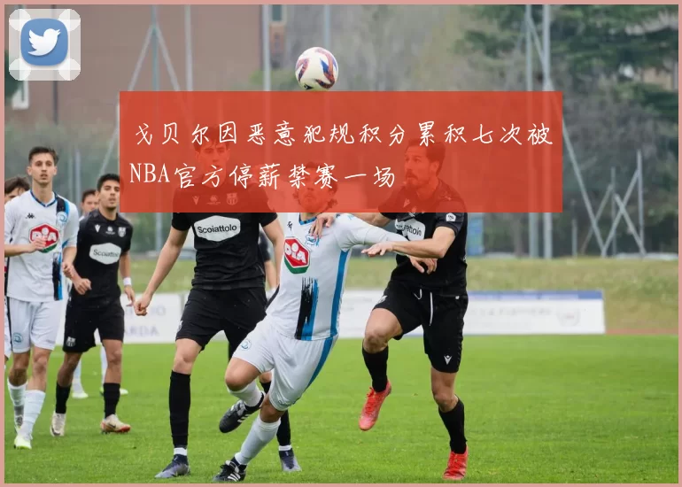 戈贝尔因恶意犯规积分累积七次被NBA官方停薪禁赛一场